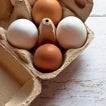Un nutricionista explica «uno de los grandes errores» que se cometen al guardar los huevos en la nevera