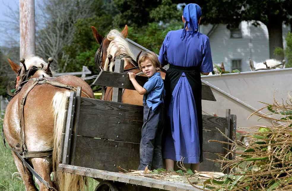 Las familia Amish reniegan de la tecnología moderna y se mueven en coches de caballos