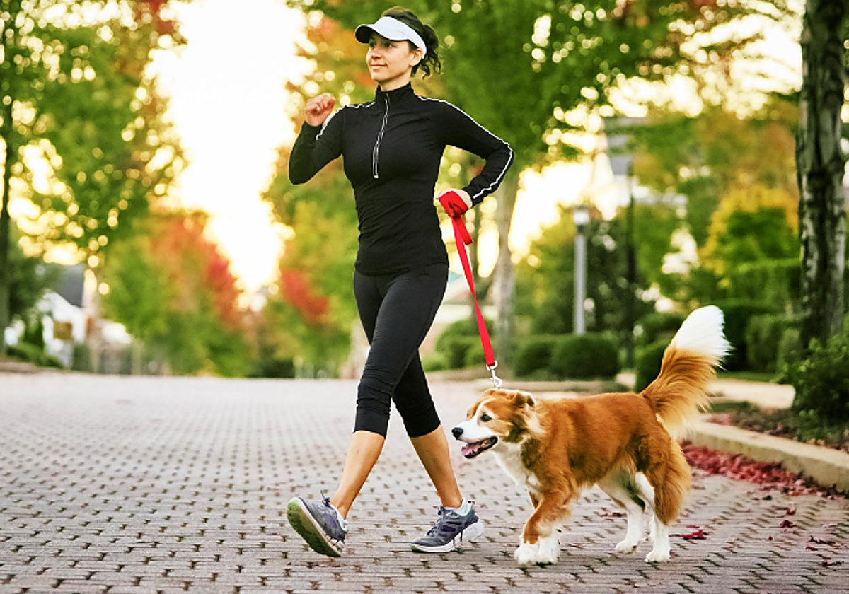 Una española que vive en Noruega revela lo que no puedes hacer con tu perro en este país durante cinco meses