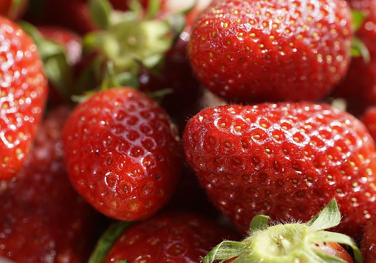 Esta es la forma más fiable de saber si las fresas provienen de España o de Marruecos