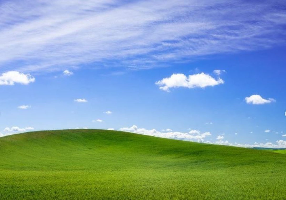 El mítico fondo de pantalla de WIndows XP