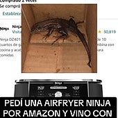Pide una airfryer por Amazon y se encuentra «un cocodrilo» en la caja: «Éramos cuatro mujeres y ninguna era capaz de sacar al animal de la bolsa»