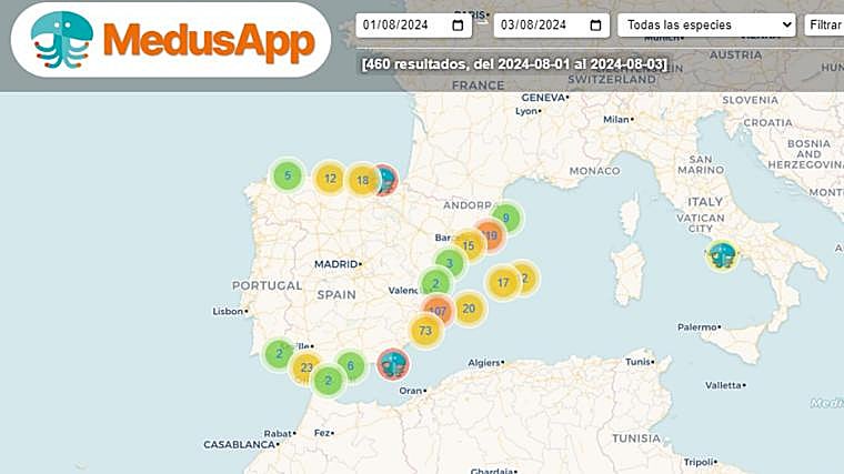 Mapa general de las playas con medusas en España