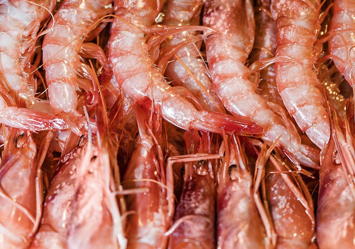 El creador de contenido reveló que él mismo pescaba este tipo de alimentos en Argentina