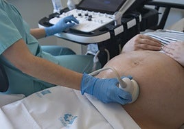 Un hombre que fue adoptado busca a su familia biológica y su hermana se ofrece para ser la madre sus hijos