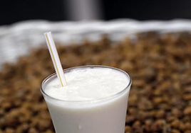 Un británico prueba la horchata y su reacción indigna a los españoles: «Porque sabe a...»