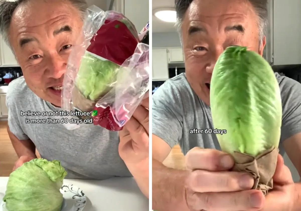 Un chef coreano comparte su truco para conservar la lechuga fresca durante dos meses: «Cualquier tipo de...»