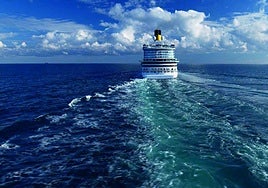 Una trabajadora de un crucero explica lo que hace la tripulación si un barco empieza a hundirse: «Mi tarjeta de emergencia...»