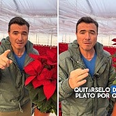 Un jardinero explica el truco para que la flor de Pascua se mantenga fresca durante toda la Navidad: «Es muy comilona»