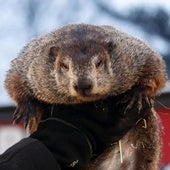 La marmota Phil ha hablado: el invierno durará seis semanas más