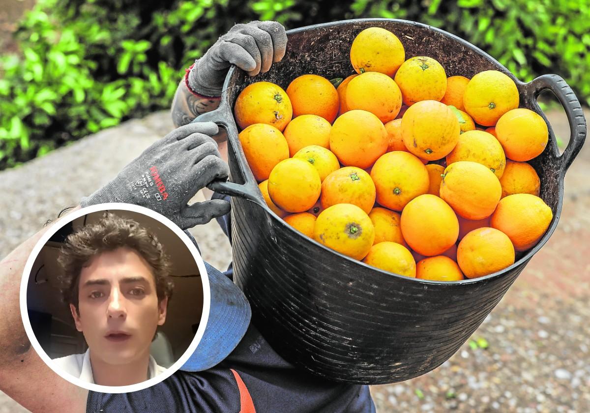 Un agricultor lanza este aviso a quienes compran naranja valenciana en España por menos de un euro