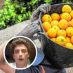 Un agricultor lanza este aviso a quienes compran naranja valenciana en España por menos de un euro