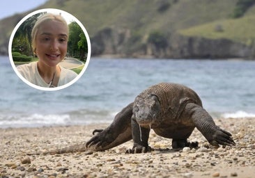 Una española en Tailandia señala cuál es la forma más fácil para ver un dragón de komodo: «Vale, qué locura es esta»