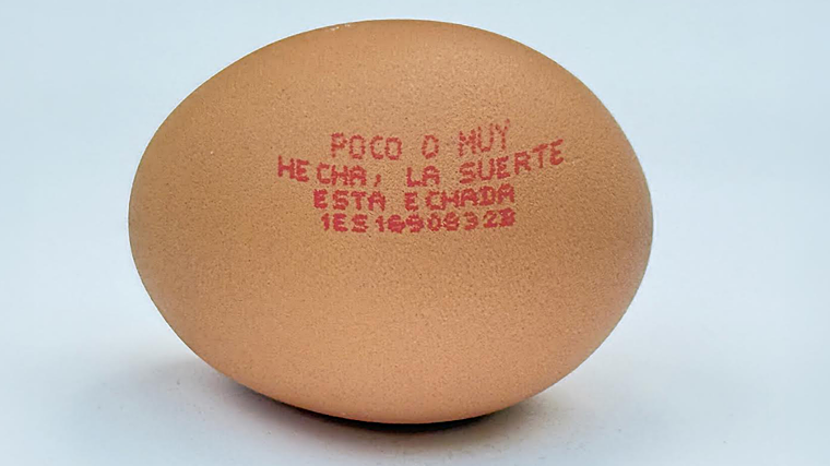 Ni bravas ni paella: la comida típica española que millones de catalanes tienen miedo a cocinar, según un estudio