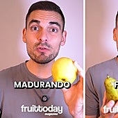 Un tecnólogo de alimentos alerta sobre el error de guardar esta fruta en el frigorífico: «Su sabor va a reducir bastante»