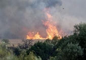 Pedro Ruiz dice lo que muchos piensan sobre los incendios que han afectado a España en los últimos días: «Si es verdad...»
