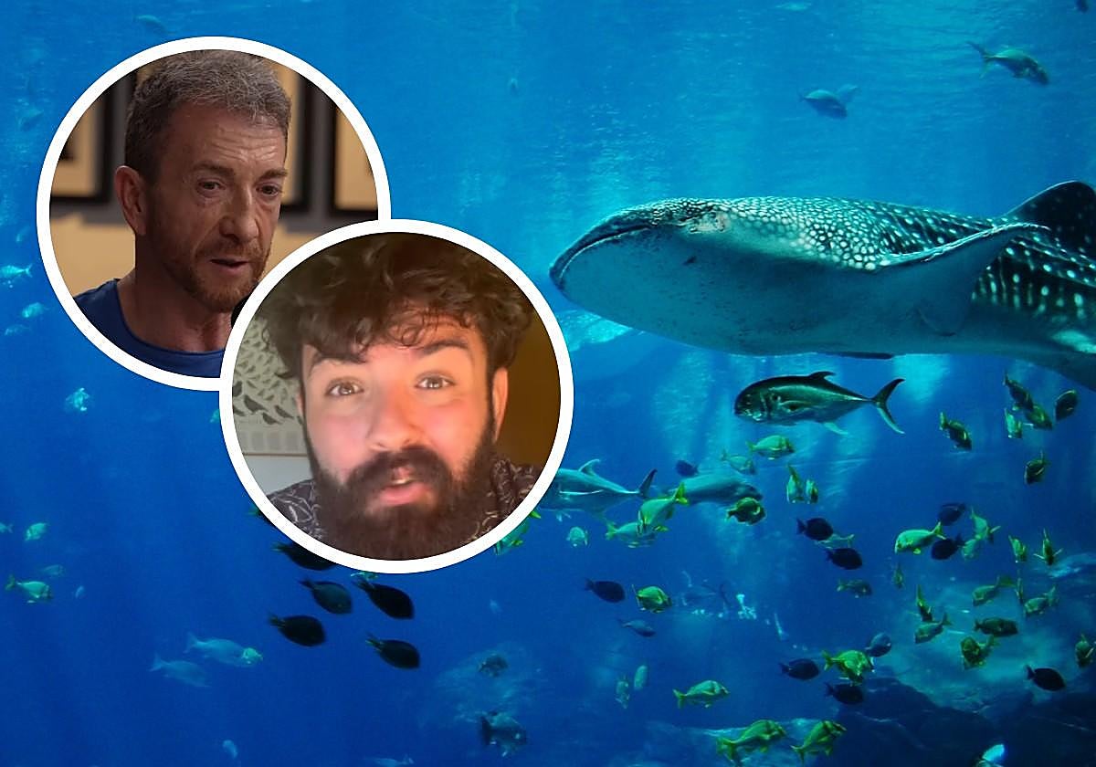 Un divulgador de animales salvajes, contundente con Pablo Motos por lo que ha hecho en sus vacaciones de verano: «Es irresponsable»