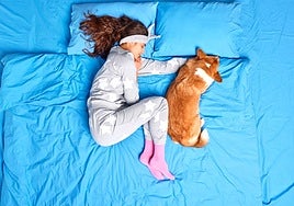Un veterinario explica si es bueno dormir con tu perro en la cama o si debes dejar de hacerlo: «En invierno...»
