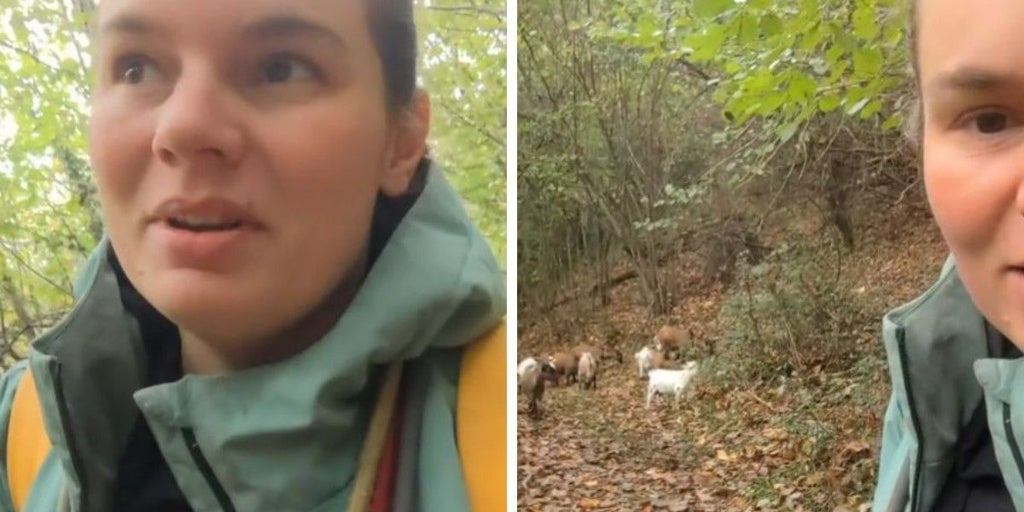 Una francesa que se ha instalado en Asturias para ser pastora, tajante sobre su nueva vida: «Mucha gente cree que estoy loca»
