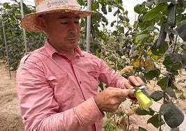 Un agricultor colombiano en España: «No se gana mucho dinero, pero hay una mejor calidad de vida»
