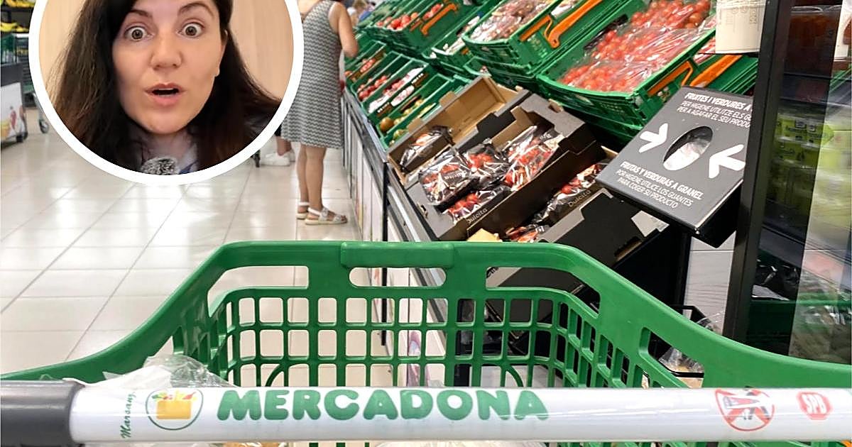 Hace la misma compra en Mercadona y Lidl e indica cuál es el supermercado más barato: «Hay diferencias en algunos productos»