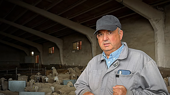 Jesús, pastor de ovejas: «A veces la soledad es buena. En exceso no porque te vuelves loco, pero hace falta para encontrarse a uno mismo»