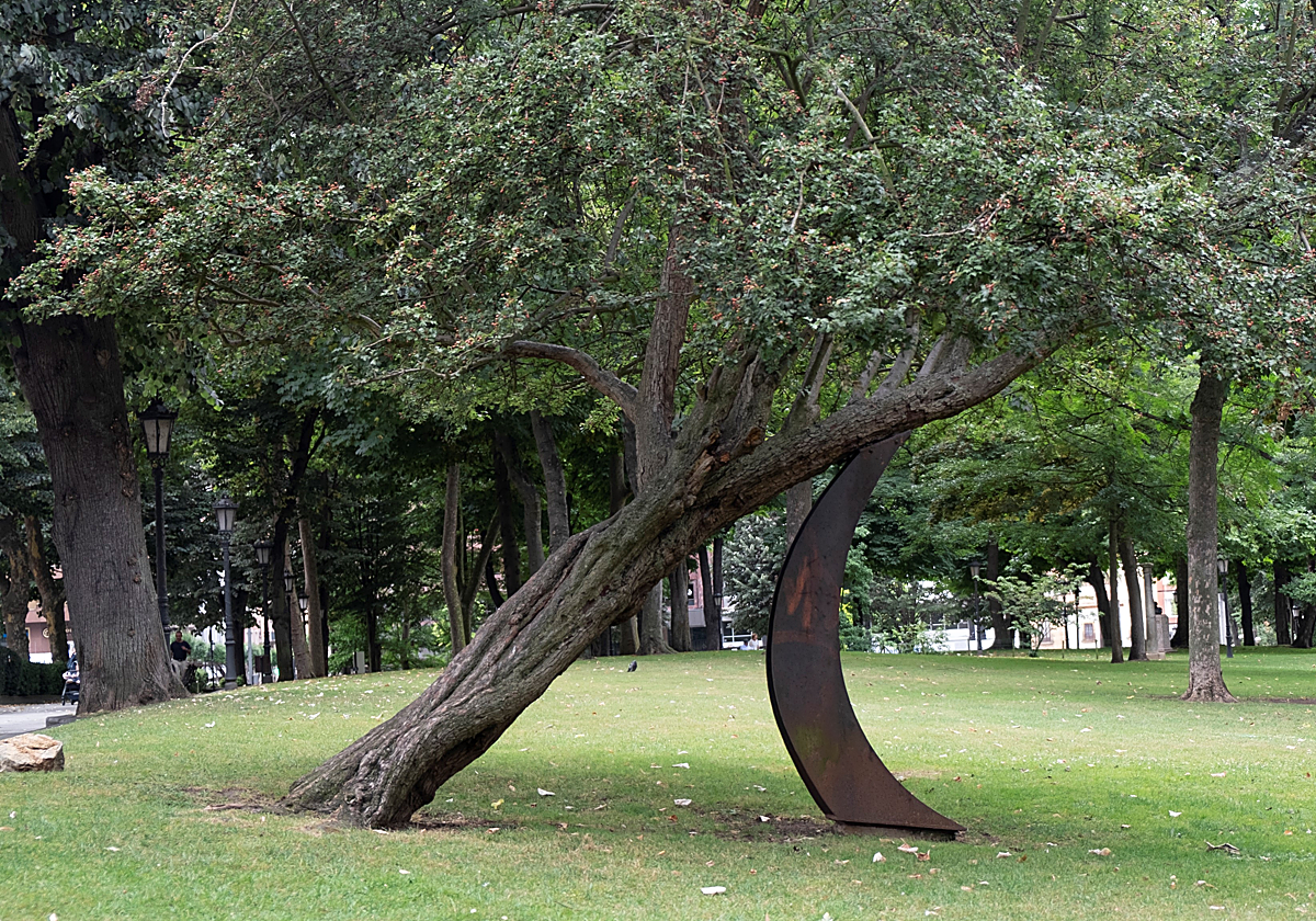 Qué significa el proverbio africano: «Cuando las raíces son profundas, el árbol no tiene por qué temer al viento» miniatura