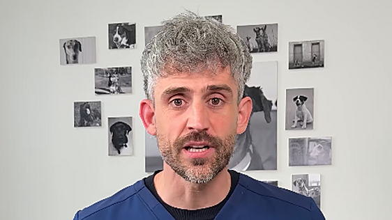 Víctor Algra, veterinario, sobre el tiempo que puedes tener a un perro o gato solo en casa: «Lo que nos dice la ley es que máximo 24 horas»