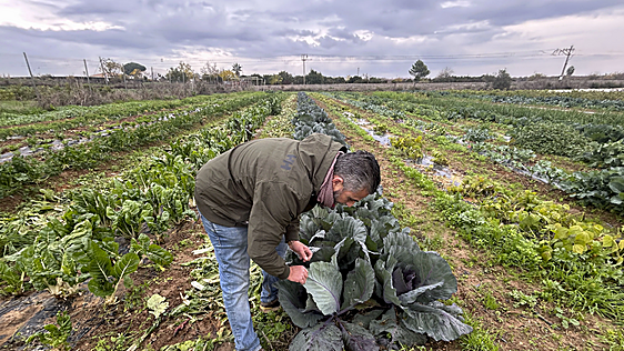 Jesús Fernando, agricultor de Valladolid: «Cada hectárea me cuesta unos 14.000 euros. Da miedo hasta llenar el depósito del tractor»