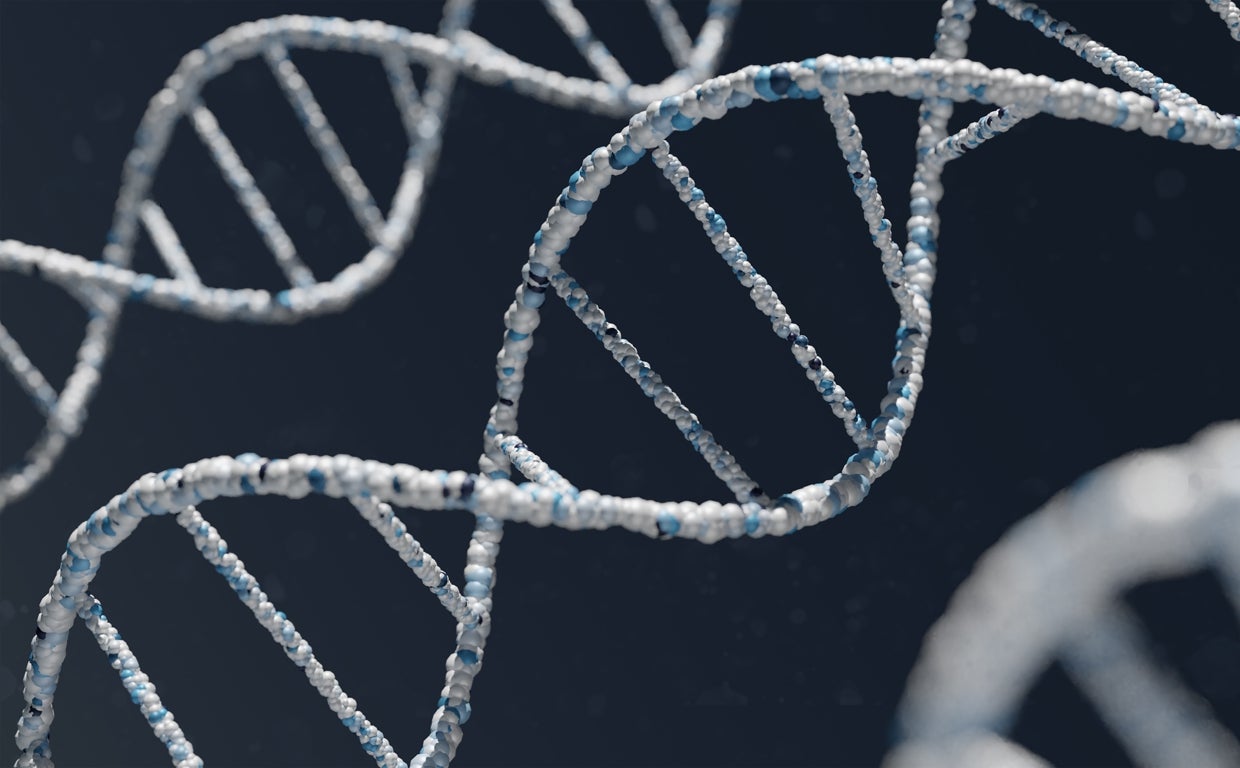 El equipo nominó nuevos biomarcadores de la enfermedad neurocognitiva