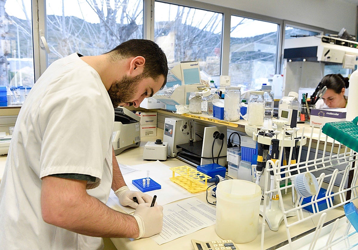 HIV causes a memory in cells that promotes inflammation Time News