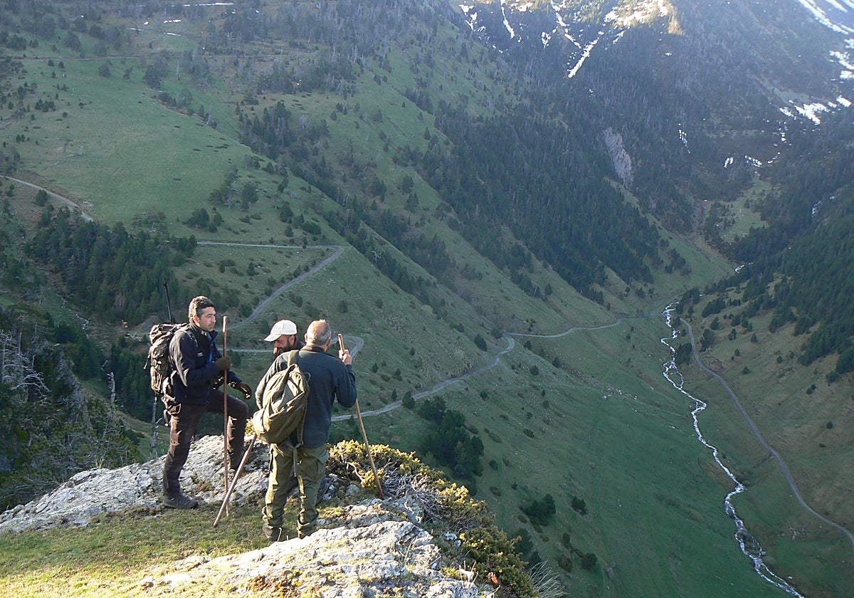 Personas haciendo ejercicio