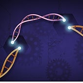 Una vacuna de terapia celular mata el cáncer y previene su reaparición