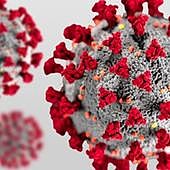 Estos son los cuatro subtipos principales de Covid persistente