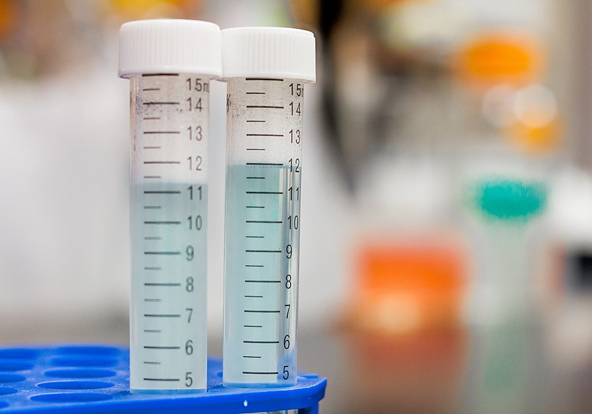 Imagen de archivo de muestras de laboratorio