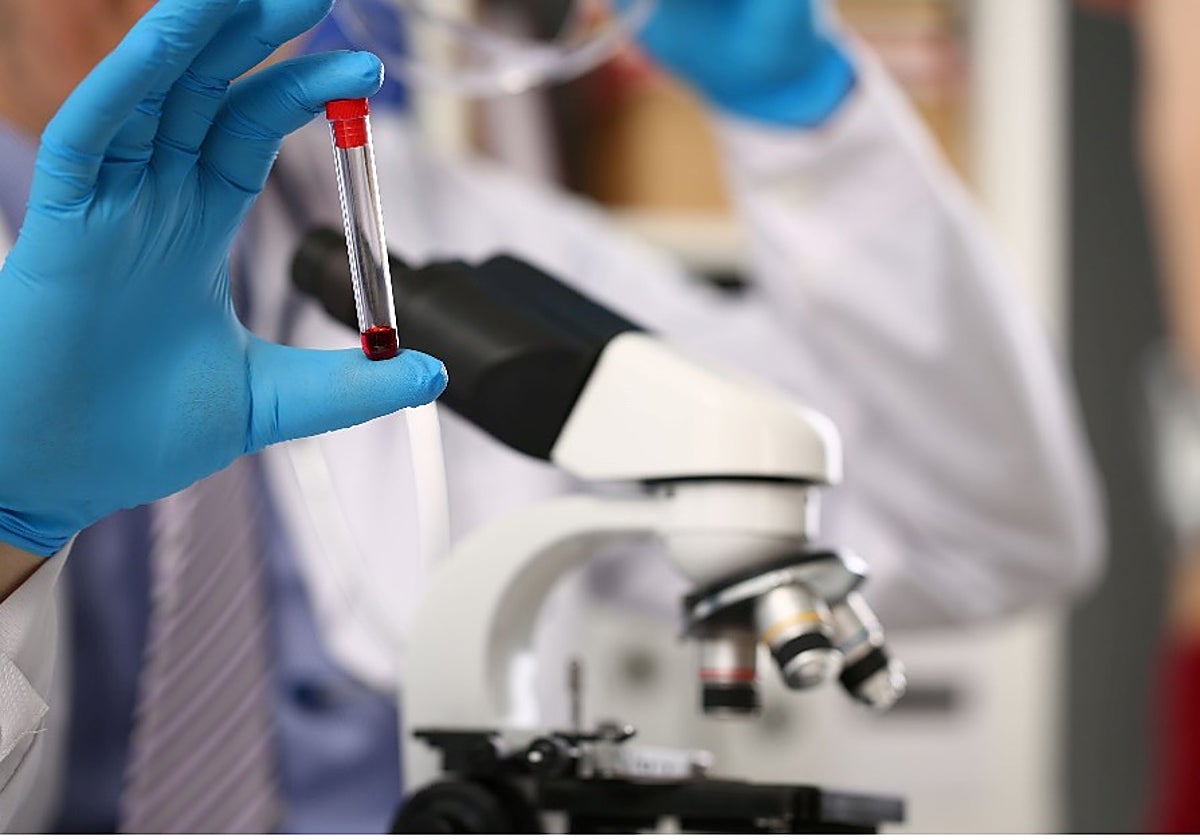 La Leucemia Mieloide Aguda, una enfermedad grave que todos debemos conocer