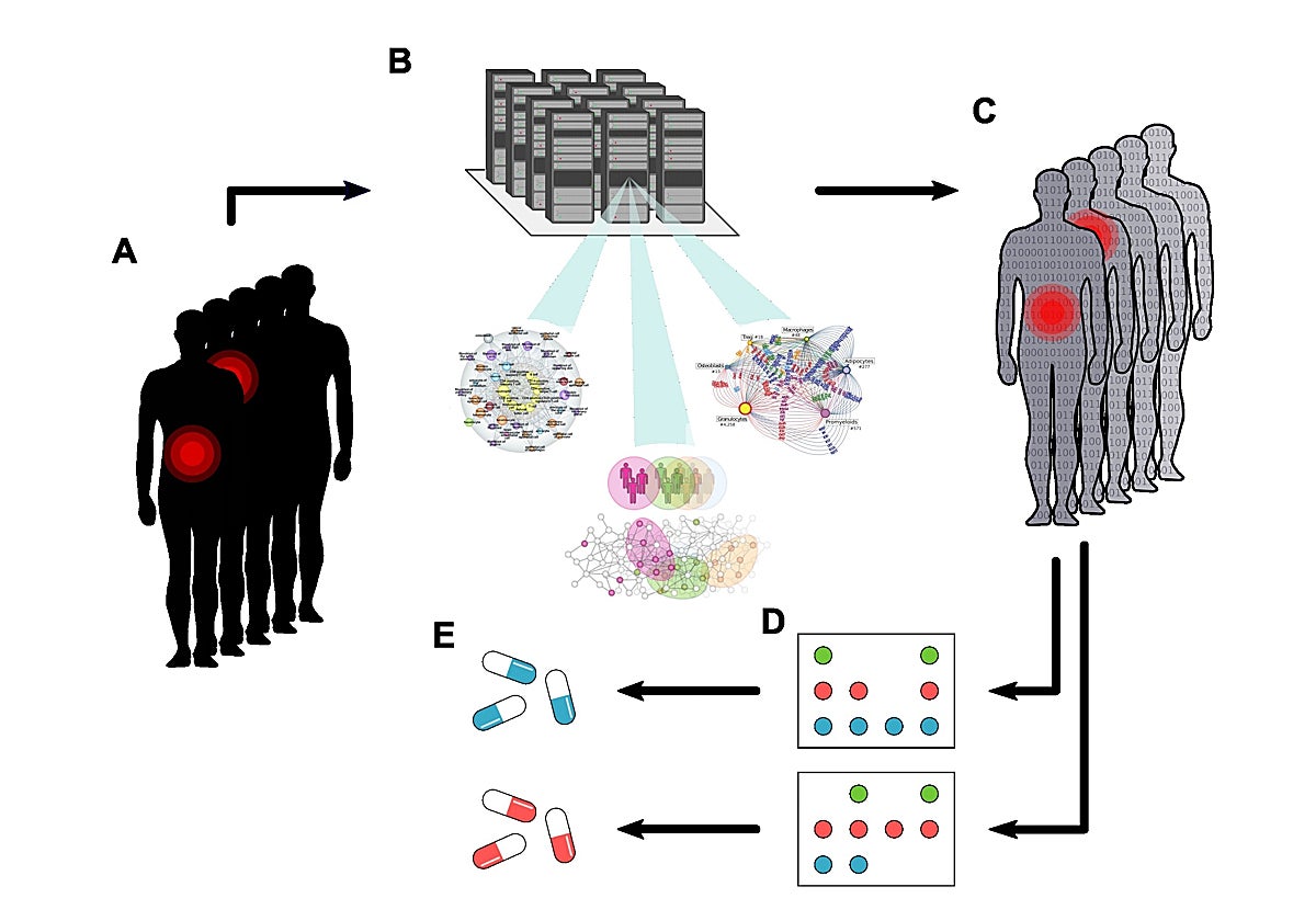 (A) Pacientes con diferentes enfermedades inmunológicas. (B) Los ordenadores fabrican(C) gemelos digitales de los mecanismos de la enfermedad de cada paciente. Estos interactúan en programas moleculares, controlados por (D) proteínas interruptoras, que se miden en sangre o tejido para (E) encontrar la(s) proteína(s) dominante(s) a las que dirigir la terapia