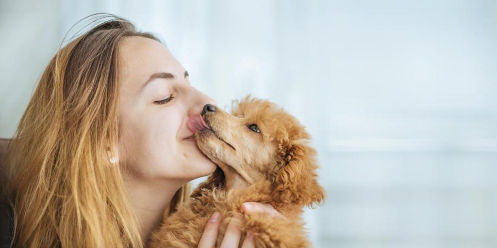 Perros y gatos transmiten a sus dueños superbacterias resistentes a los antibióticos