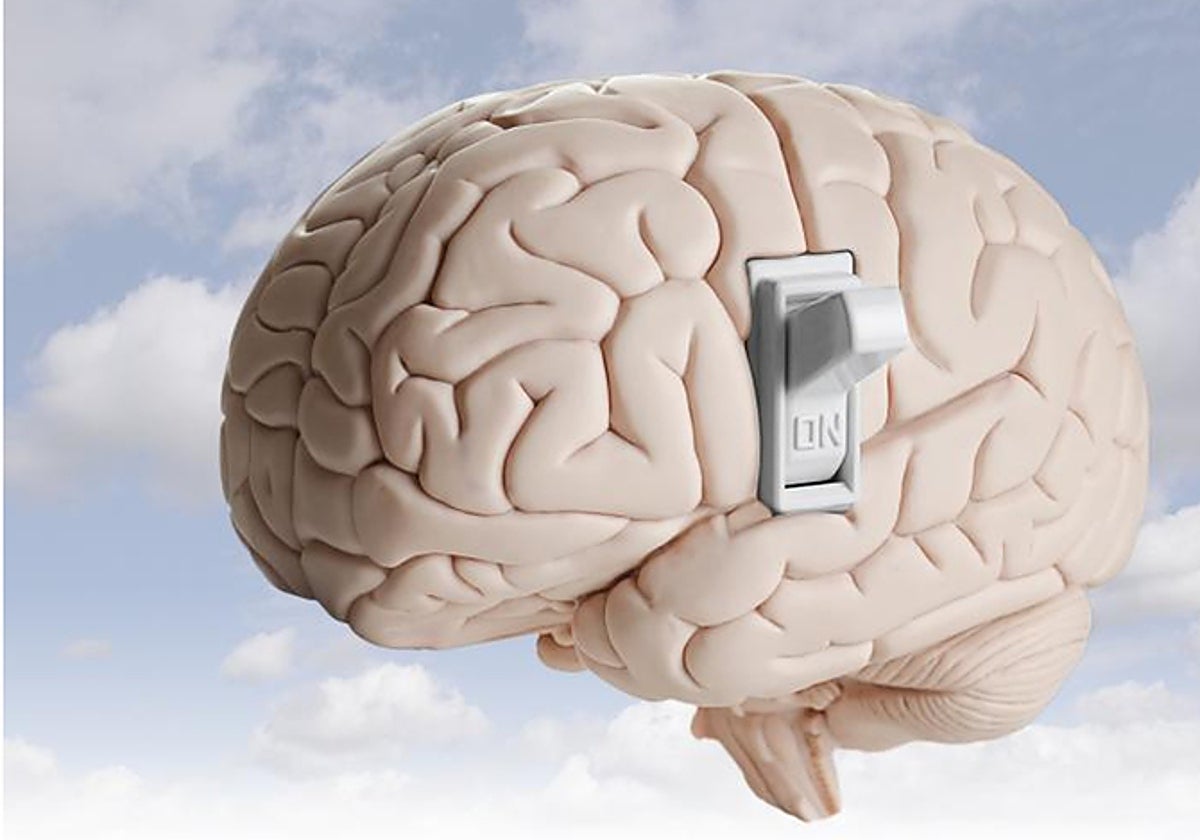 Uno de los mayores impedimentos para el tratamiento de los tumores cerebrales, ha sido la imposibilidad de que la quimioterapia supera la penetrar la barrera hematoencefálica