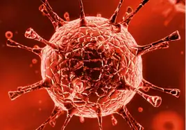¿Qué es el enterovirus que ha provocado la muerte de 7 bebés en Francia?