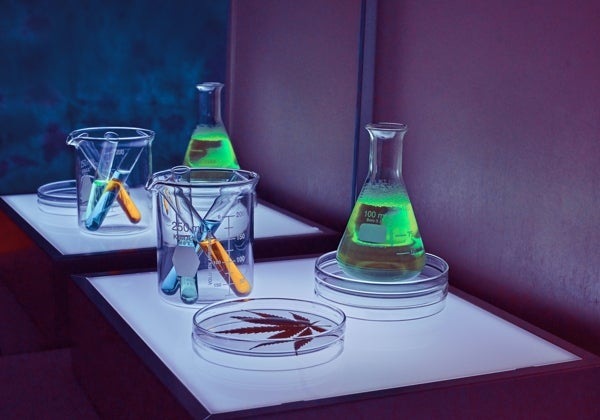 El LSD tiene potencial para aliviar la depresión