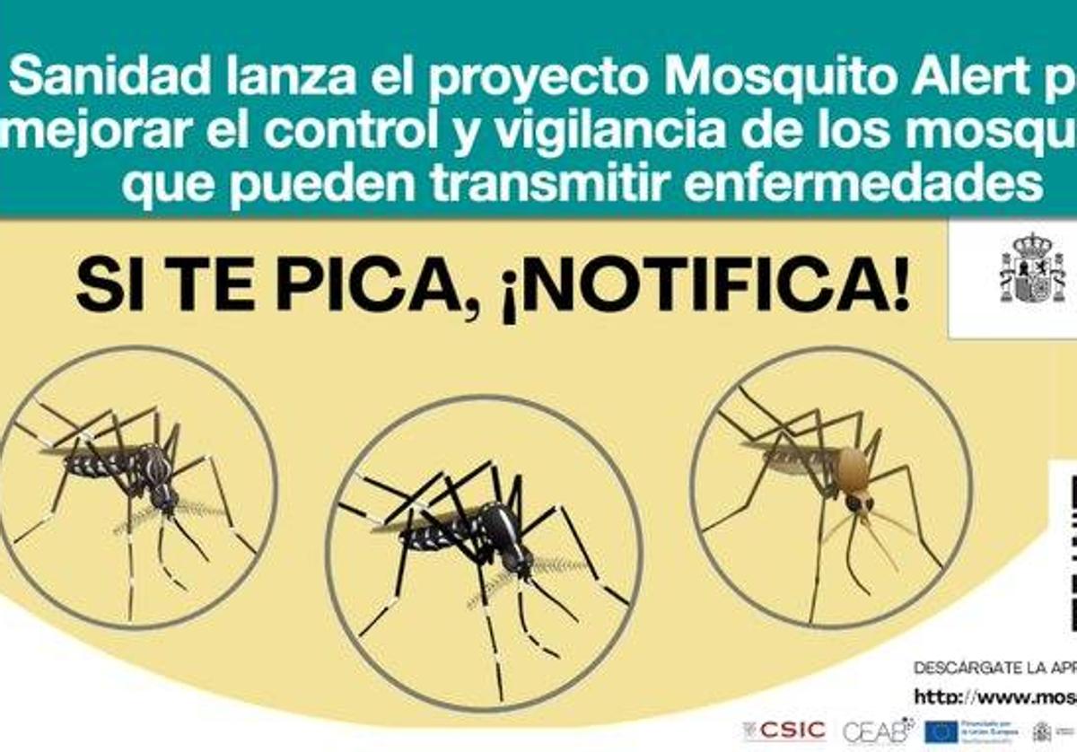 «Si te pica, notifica»: así es &#039;Mosquito Alert&#039;, la nueva app de Sanidad para reportar picaduras, avalada por Fernando Simón