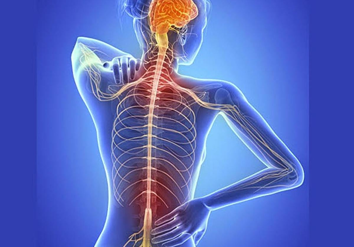 Por qué las mujeres con esclerosis múltiple mejoran durante el embarazo