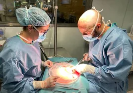España e Italia realizan con éxito el segundo trasplante renal cruzado internacional con tres parejas implicadas