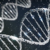 Estos son los genes que conforman nuestros huesos