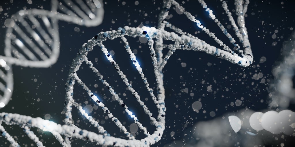 Eine Technik verändert die Gene von Blutzellen im Körper