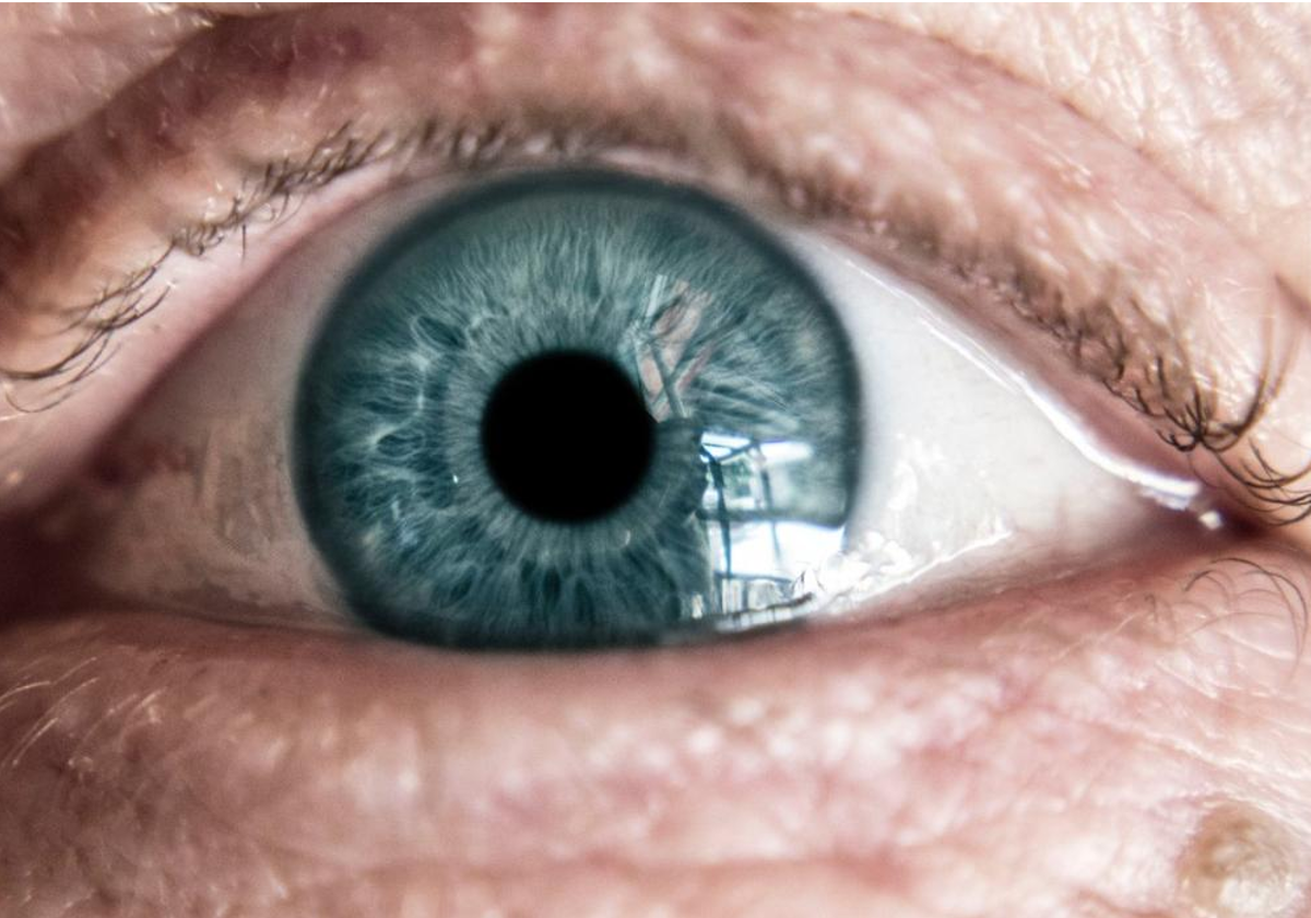 Los escaneos oculares y los datos oculares también han podido revelar una propensión a la presión arterial alta; enfermedades cardiovasculares que incluyen accidentes cerebrovasculares; y diabetes