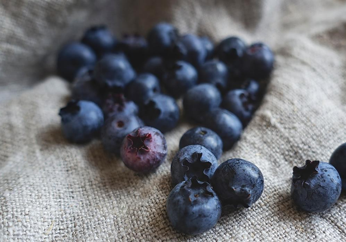 Los arándonos son ricos en antioxidantes