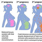 Las madres recuerdan sus embarazos para prevenir futuras complicaciones