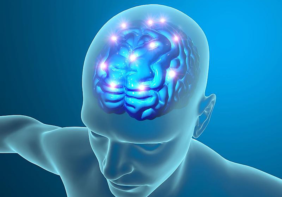 Uno de cada cuatro adultos mayores de 25 años sufrirá un ictus a lo largo de su vida